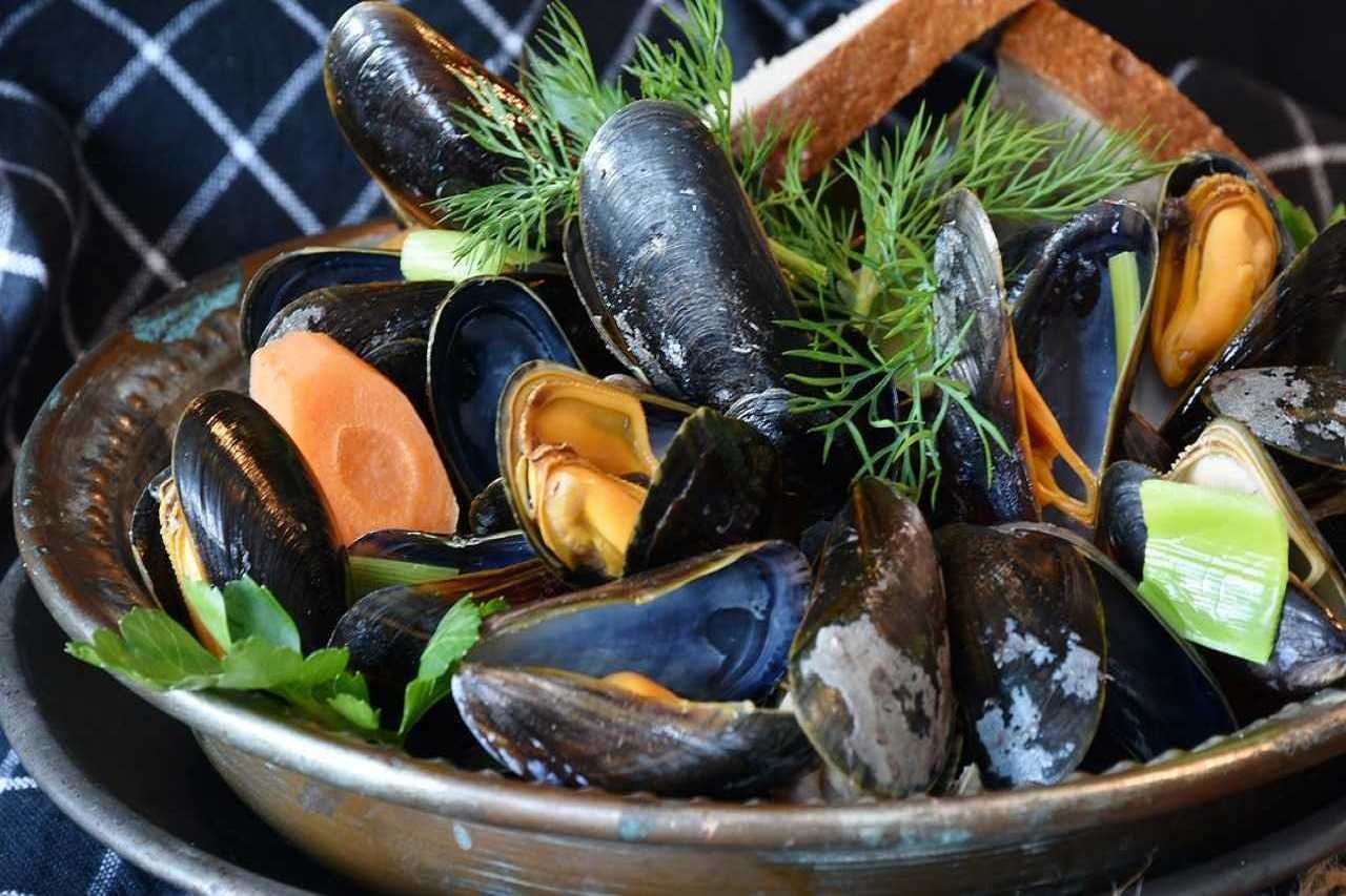 feel restaurant ibiza mejillones feel restaurant ibiza mejillones